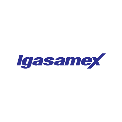 The logo of igasamex in blue with white background.